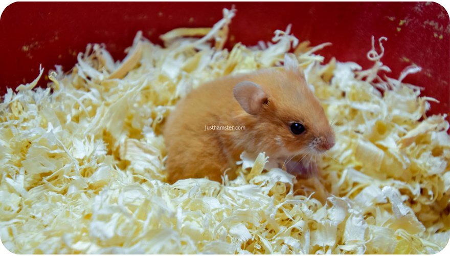 Bedding material for hamster