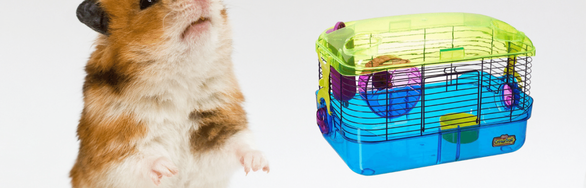 are Crittertrail Cages Good for Hamsters