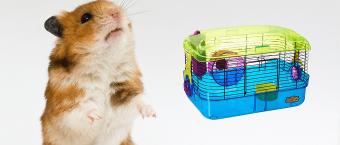 are Crittertrail Cages Good for Hamsters