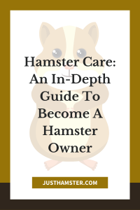 Hamster care: an In depth Guide to Become A Hamster Owner